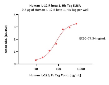 Human IL-12 R beta 1 Protein, His Tag
