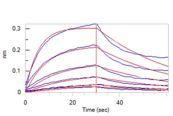 Human IL-6 R alpha Protein, Fc Tag