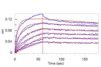 Human IL-13 Protein, Fc Tag, low endotoxin (MALS verified)