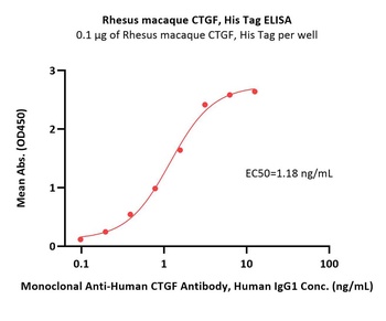 Rhesus macaque CTGF Protein, His Tag