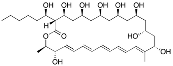 Filipin Complex