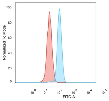 ZNF276 Antibody