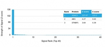 HDAC3 Antibody