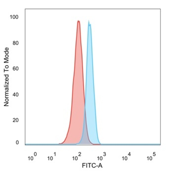 HDAC3 Antibody