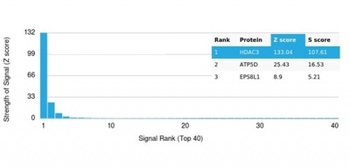 HDAC3 Antibody