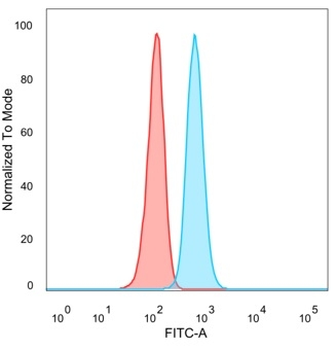 HDAC3 Antibody