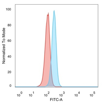 RXRG Antibody