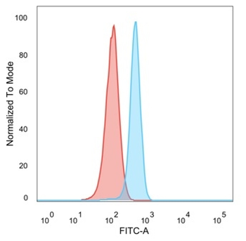 RXRG Antibody