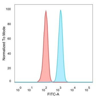 ZNF562 Antibody