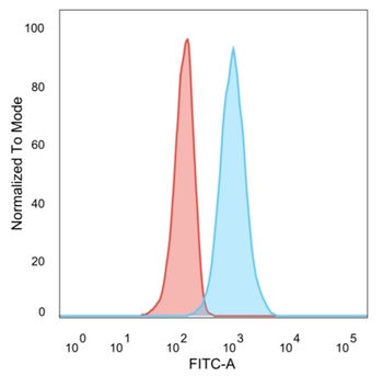 ZNF562 Antibody