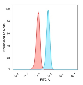 BCL11A Antibody