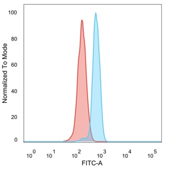 BCL11A Antibody