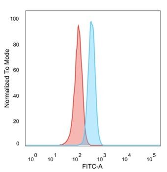 SOX4 Antibody