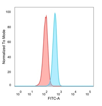 MYOG Antibody