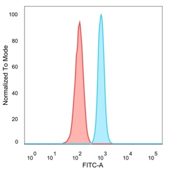 ZNF81 Antibody