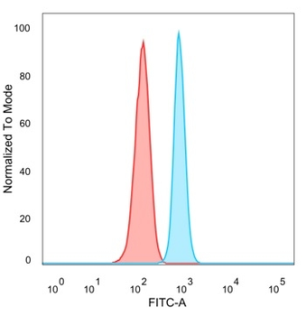 ZNF81 Antibody