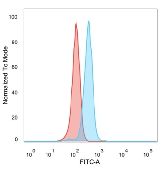 HDAC1 Antibody