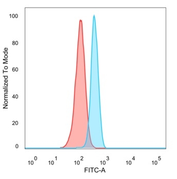 HIC2 Antibody