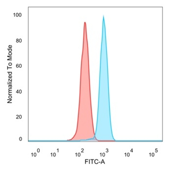 ZHX3 Antibody