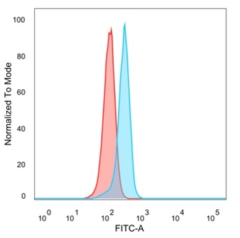 ATF2 Antibody
