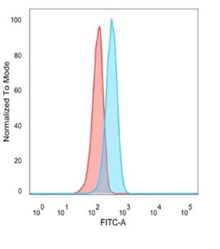 ATF2 Antibody