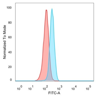 TADA1 Antibody