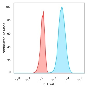IGFBP3 Antibody