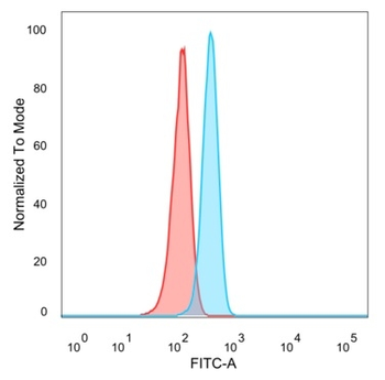 FOXL1 Antibody