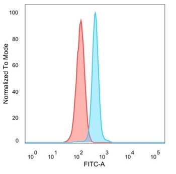 HDAC6 Antibody