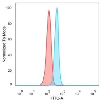 BCL6 Antibody