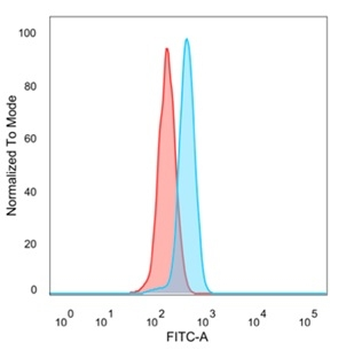 ZC3H7A Antibody