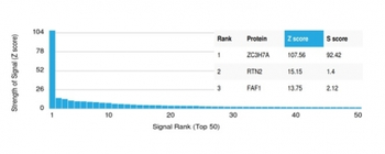 ZC3H7A Antibody