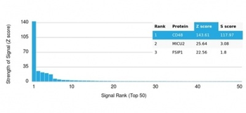 CD48 Antibody
