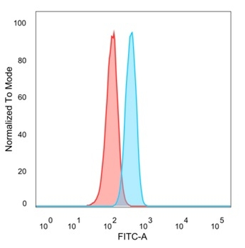 BCL2L2 Antibody