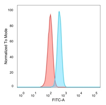 ETS2 Antibody