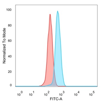 ZHX3 Antibody