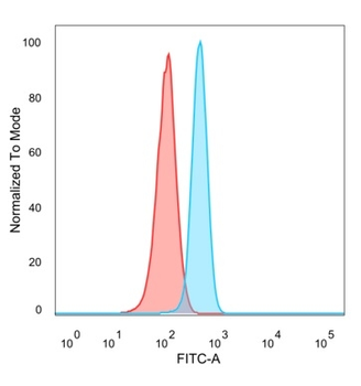 MITF Antibody