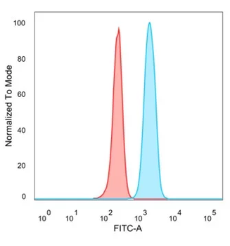 KDM5C Antibody
