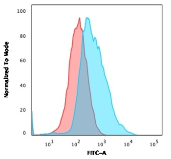 JUP Antibody
