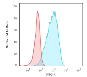 HLA-DPB1 Antibody