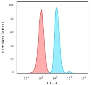 MKI67 Antibody