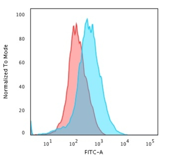 PECAM-1 Antibody