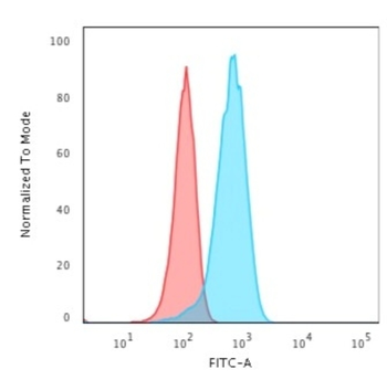 UCHL1 Antibody