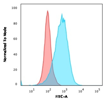 CD86 Antibody
