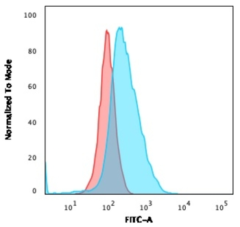 CD40 Antibody