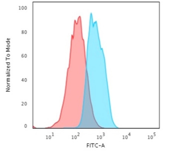 CDH1 Antibody