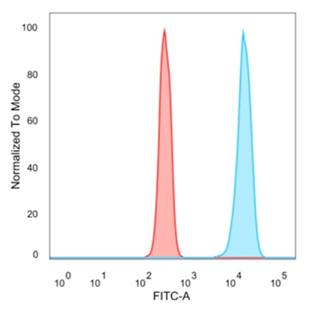 EZH2 Antibody