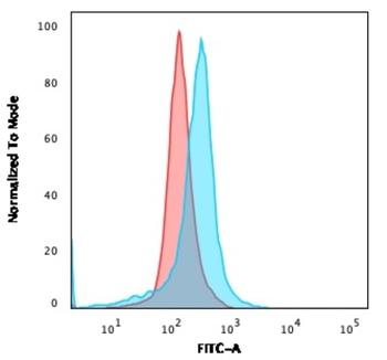 NT5E Antibody