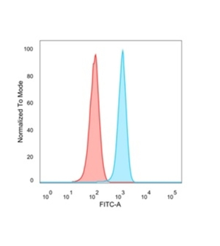 FOSL2 Antibody