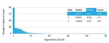 TNFRSF9 Antibody (Biotin)
